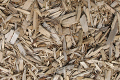biomass boilers Stansted